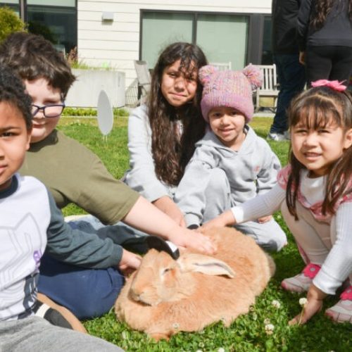 Easter-2025-87-of-157-700x467-1